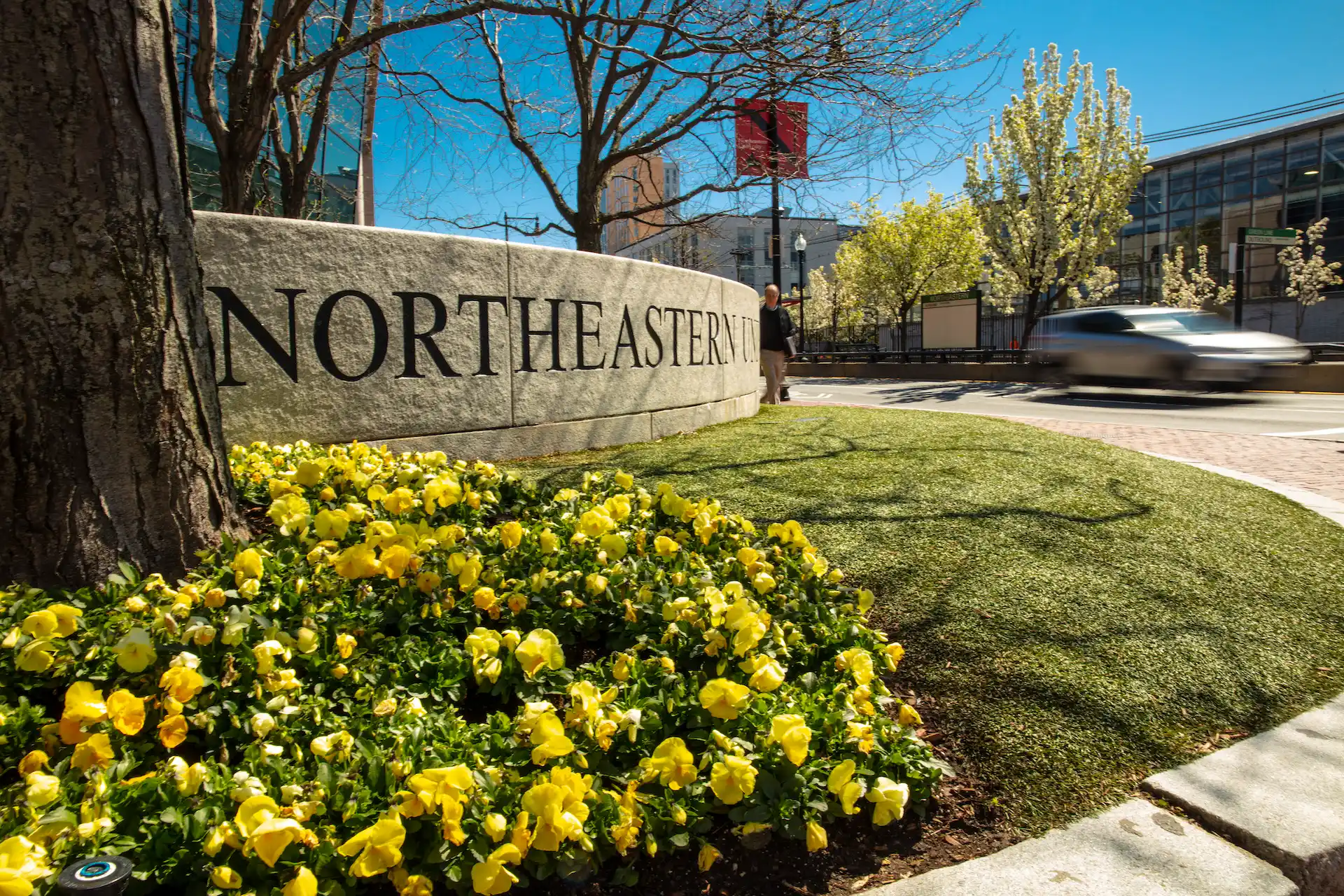 A Guide To Northeastern University Scholarships for International Students
